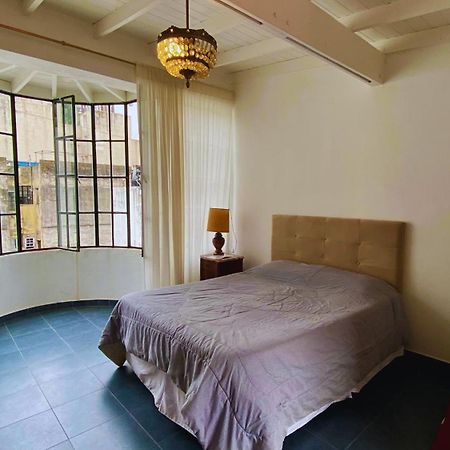 La Casa Del Loro, San Telmo - 8 Habitaciones ブエノスアイレス エクステリア 写真