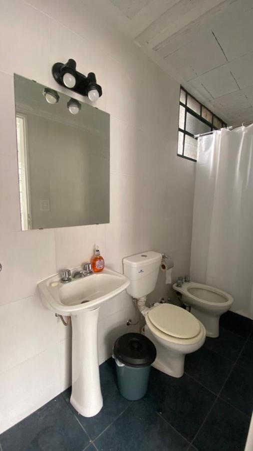 La Casa Del Loro, San Telmo - 8 Habitaciones ブエノスアイレス エクステリア 写真
