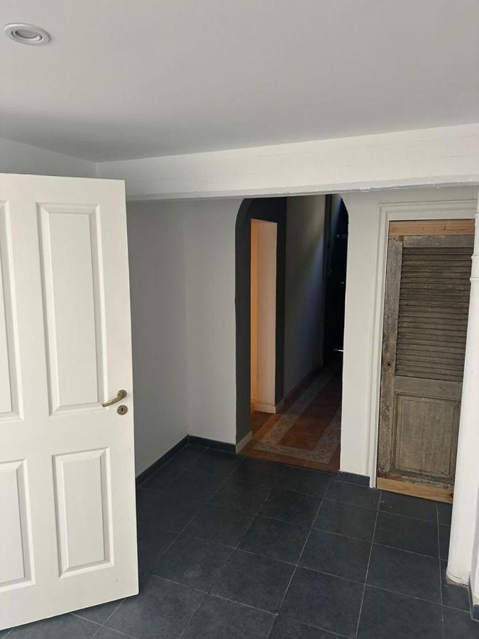 La Casa Del Loro, San Telmo - 8 Habitaciones ブエノスアイレス エクステリア 写真