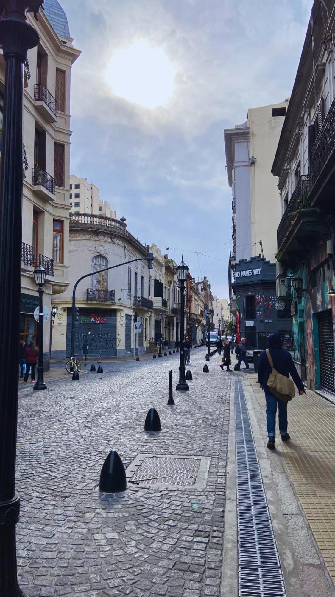 La Casa Del Loro, San Telmo - 8 Habitaciones ブエノスアイレス エクステリア 写真
