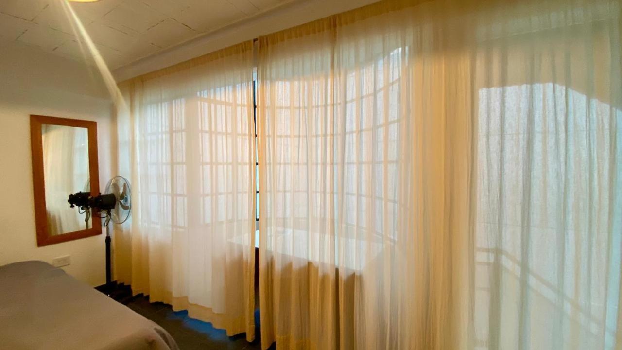 La Casa Del Loro, San Telmo - 8 Habitaciones ブエノスアイレス エクステリア 写真